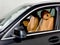 2024 BMW X5 xDrive50e Plug-In Hybrid