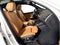 2023 BMW X3 xDrive30i Sports Activity Vehicle
