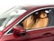 2023 BMW 5 Series 530i xDrive Sedan