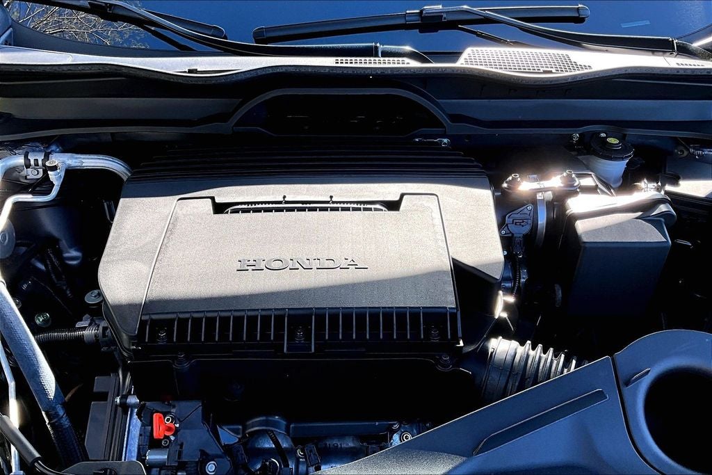 2025 Honda Pilot EX-L+