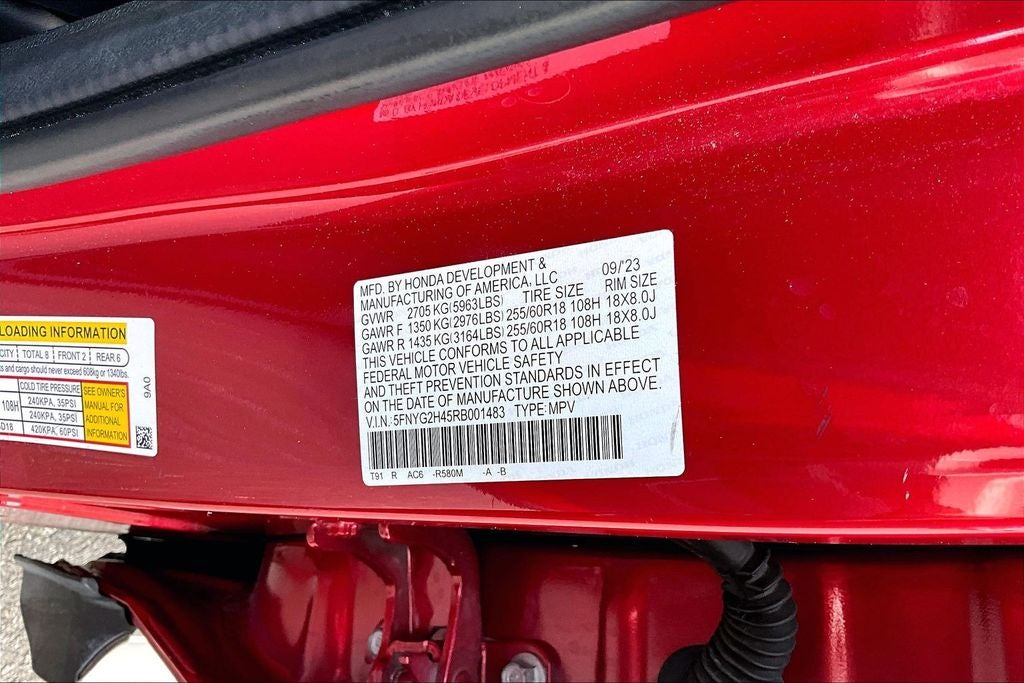 2024 Honda Pilot EX-L 8 Passenger