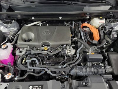 2025 Toyota RAV4 Hybrid XLE 4D Sport Utility