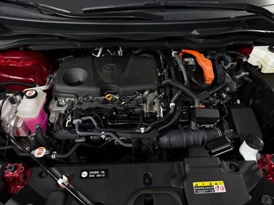 2021 Toyota Sienna XSE 7 Passenger