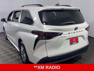 2024 Toyota Sienna XLE 7 Passenger
