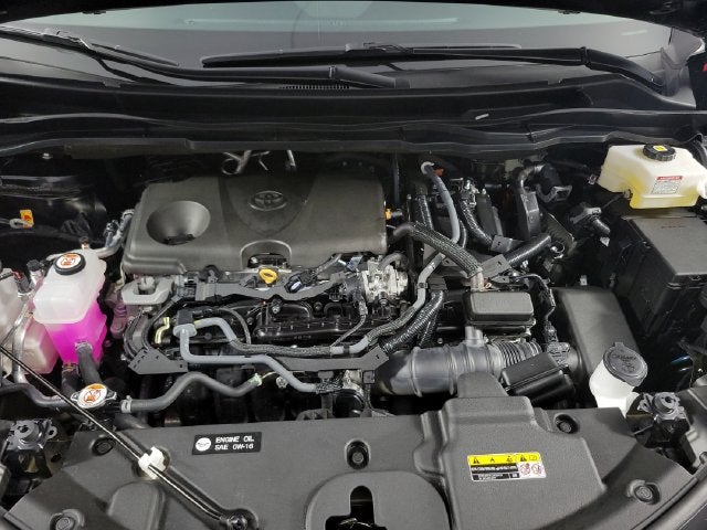 2025 Toyota Sienna XLE 8 Passenger