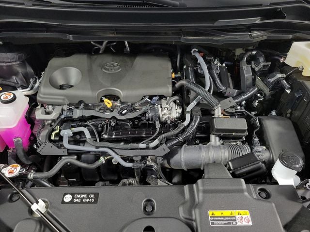 2025 Toyota Sienna XLE 4D Passenger Van