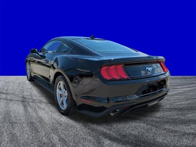 2023 Ford Mustang EcoBoost