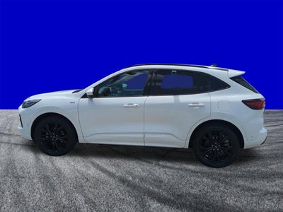 2023 Ford Escape ST-Line Elite