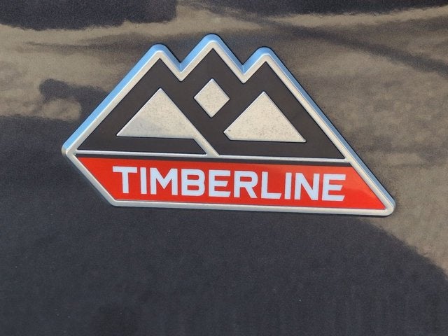 2023 Ford Expedition Timberline