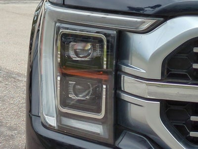 2021 Ford F-150 Platinum