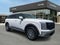 2026 Hyundai Palisade Hybrid Blue SEL 7 Passenger