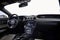 2015 Ford Mustang GT 50 Years Limited Edition
