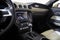 2015 Ford Mustang GT 50 Years Limited Edition