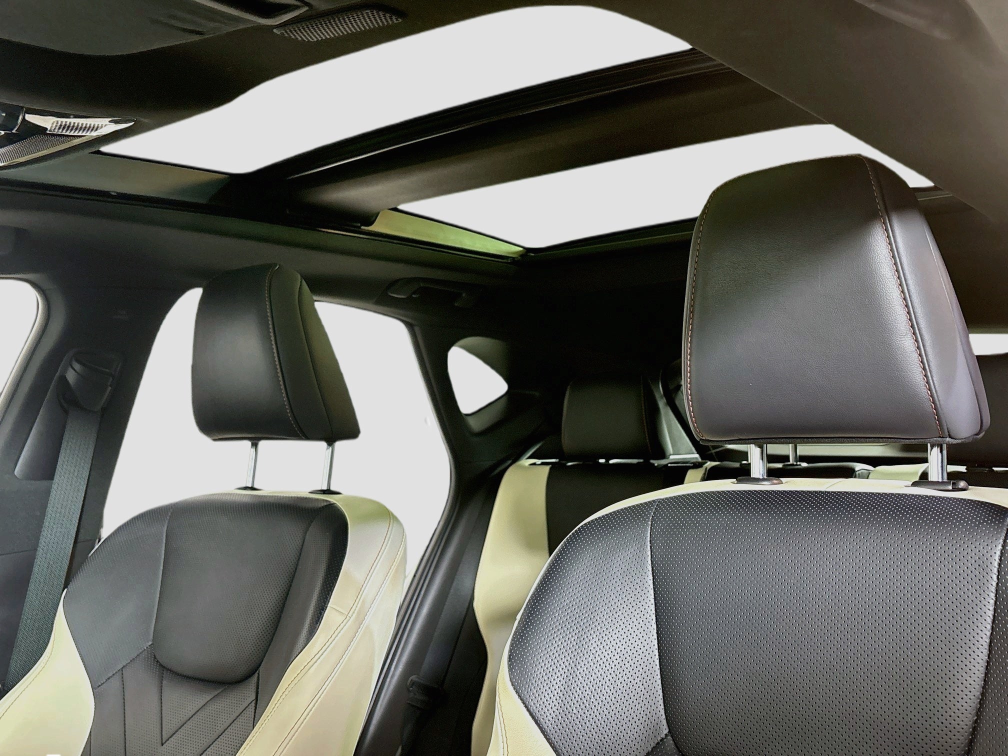 2024 Lexus NX 350h Luxury
