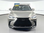 2024 Lexus NX 350h Luxury