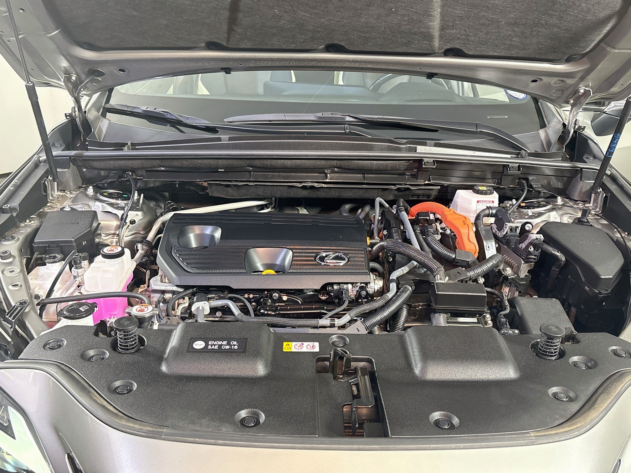2024 Lexus NX 350h Luxury