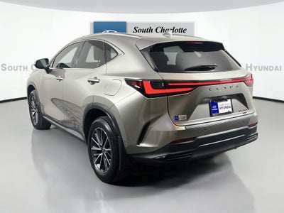 2024 Lexus NX 350h Luxury