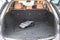 2024 Lexus NX 250 Premium