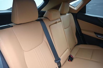 2024 Lexus NX 250 Premium