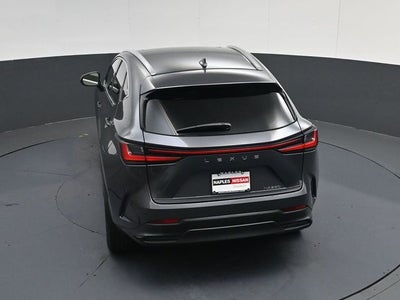 2024 Lexus NX 250 Premium