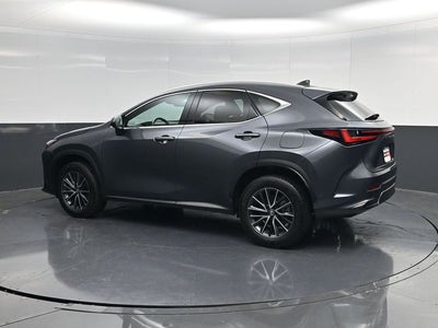 2024 Lexus NX 250 Premium