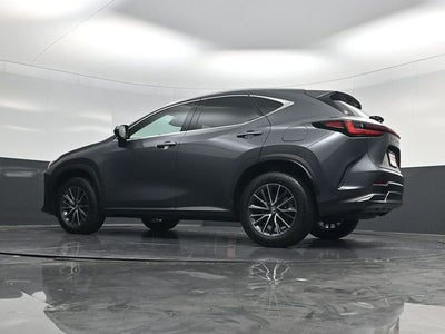 2024 Lexus NX 250 Premium