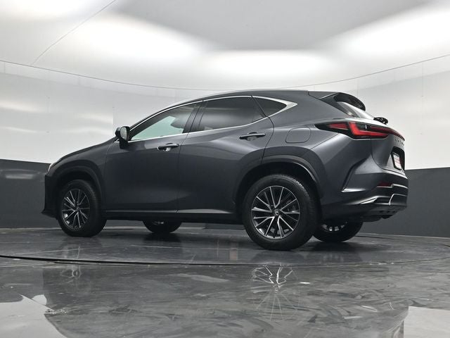 2024 Lexus NX 250 Premium
