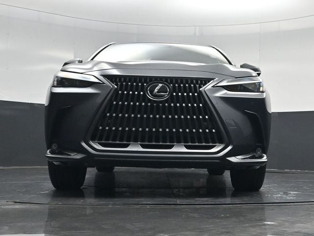 2024 Lexus NX 250 Premium