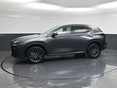 2024 Lexus NX 250 Premium