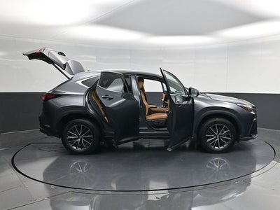2024 Lexus NX 250 Premium