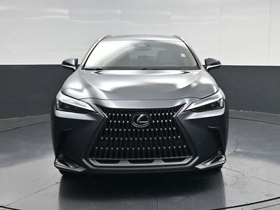 2024 Lexus NX 250 Premium