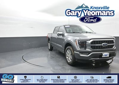 2023 Ford F-150 Platinum