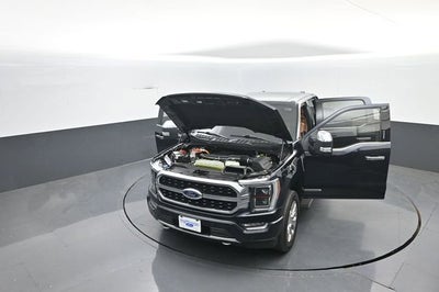 2021 Ford F-150 Platinum
