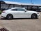 2026 Mercedes-Benz CLE 300 4MATIC®