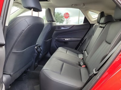 2025 Lexus NX NX 250 Premium
