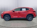 2025 Lexus NX NX 250 Premium