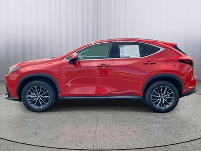 2025 Lexus NX NX 250 Premium