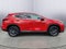2025 Lexus NX NX 250 Premium