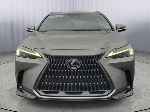 2025 Lexus NX NX 250 Premium