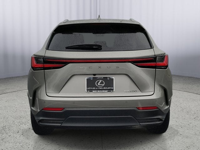 2025 Lexus NX NX 250 Premium