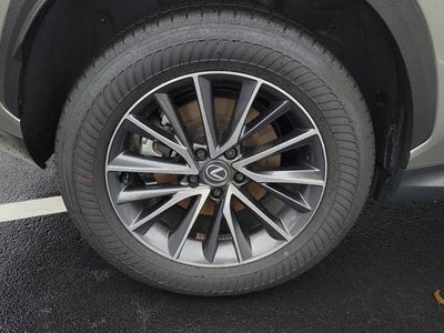 2025 Lexus NX NX 250 Premium