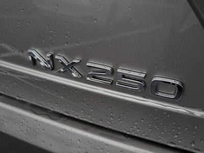 2025 Lexus NX NX 250 Premium