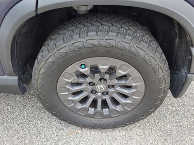 2026 Honda Passport TrailSport